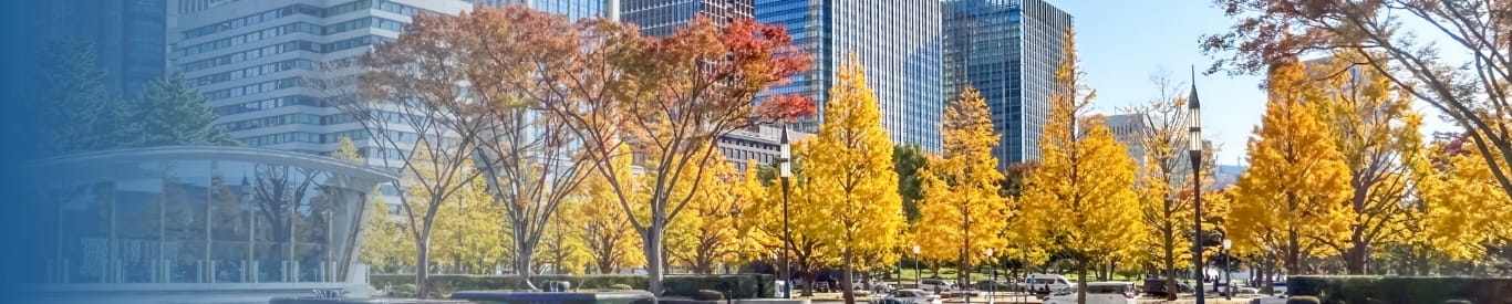 株式会社SE MANEGEMENT