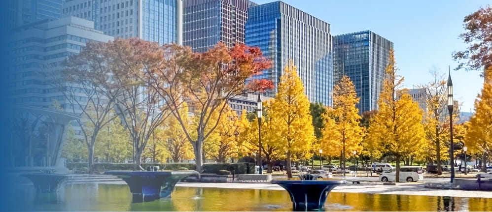 株式会社SE MANEGEMENT