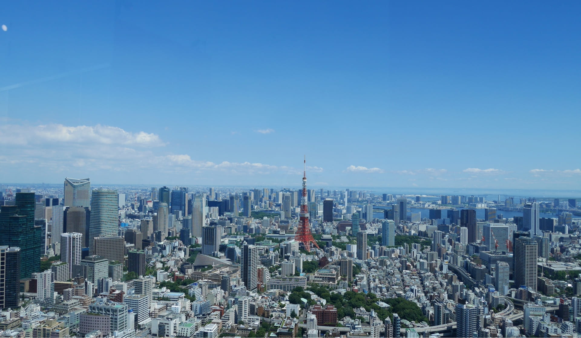 株式会社SE Management