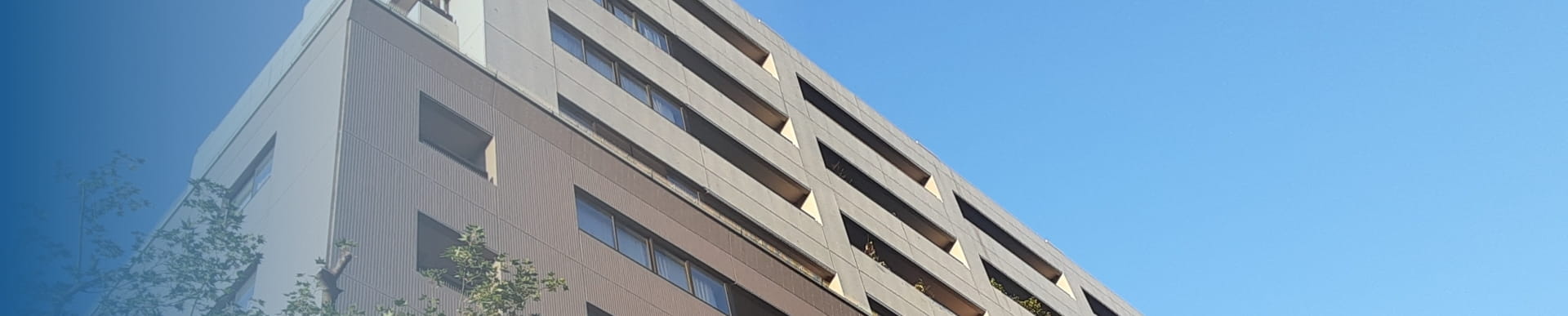 株式会社SE MANEGEMENT